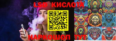 дмт Донской