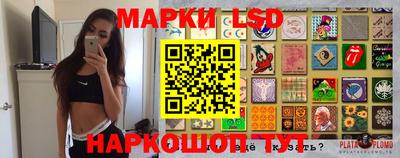 дмт Донской