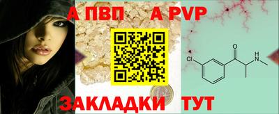 дмт Донской