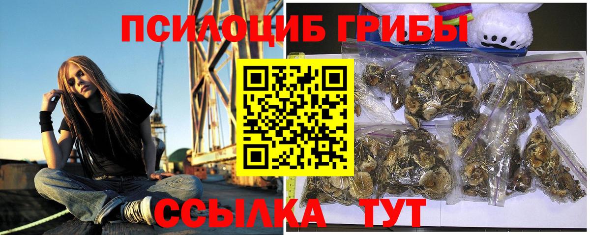 Псилоцибиновые грибы Psilocybe  Галлюциногенные грибы ЛСД  Вход с VPN  Кунгур 