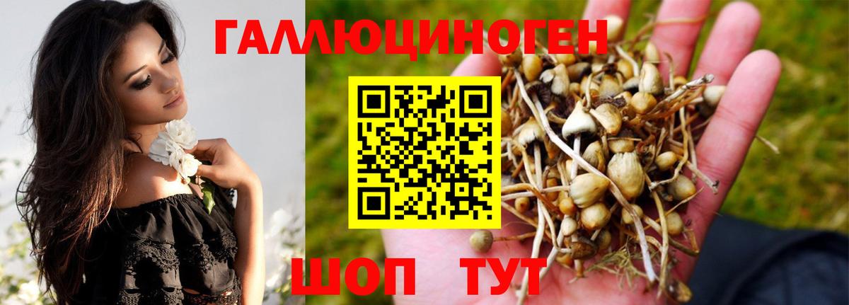 Псилоцибиновые грибы ЛСД Кунгур